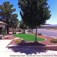 Artificial Grass Mount Vernon Maryland Landscape