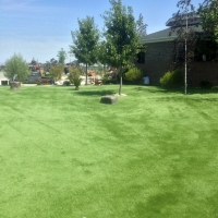 Artificial Pet Turf Mays Chapel Maryland for Dogs Front