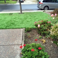 Artificial Pet Turf Takoma Park Maryland Installation Front