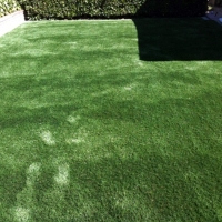 Fake Pet Grass Adelphi Maryland Installation Front Yard