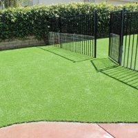 Fake Pet Grass Fairmount Heights Maryland for Dogs