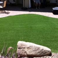 Fake Pet Grass White Oak Maryland Installation Front Yard