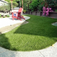 Fake Pet Turf Darlington Maryland Installation