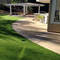 Fake Pet Turf Severn Maryland for Dogs