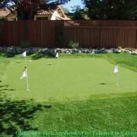 Golf Putting Greens Charlestown Maryland Artificial Turf