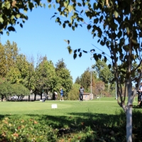 Golf Putting Greens Goddard Maryland Synthetic Turf Pavers
