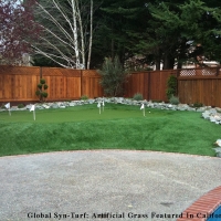 Putting Greens Brooklyn Park Maryland Synthetic Turf