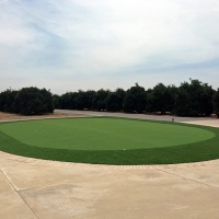 Putting Greens Edesville Maryland Synthetic Grass Back Yard