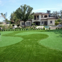 Putting Greens Largo Maryland Fake Grass Commercial Landscape