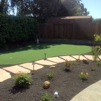 Putting Greens Mayo Maryland Artificial Turf Back Yard