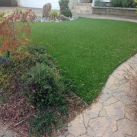 Synthetic Pet Grass North Brentwood Maryland for Dogs Commercial