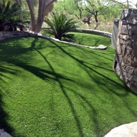 Synthetic Pet Grass Stevensville Maryland Installation Commercial