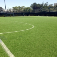 Synthetic Turf Sports Fields Edgemere Maryland Back Yard