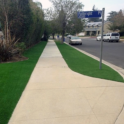 Artificial Grass Arbutus Maryland Lawn