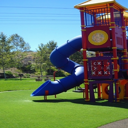 Artificial Grass Leisure World Maryland Playgrounds Back