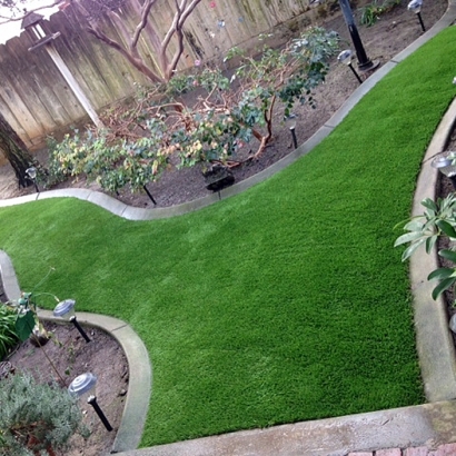 Artificial Grass New Windsor Maryland Landscape Front Yard