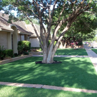 Artificial Grass Savage Maryland Landscape Summer Pools