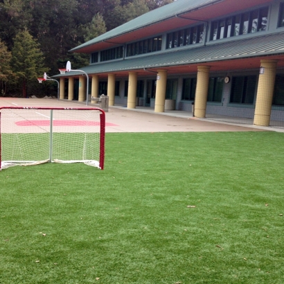 Artificial Grass Sports Fields Naval Academy Maryland Back