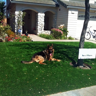 Artificial Pet Grass Lochearn Maryland Installation