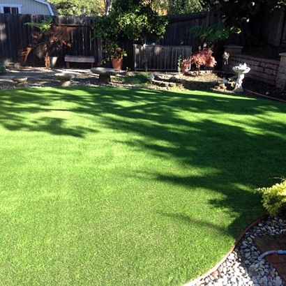 Artificial Pet Grass North Chevy Chase Maryland Installation