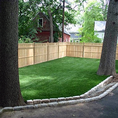 Artificial Pet Grass Rock Hall Maryland for Dogs Back Yard