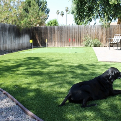 Artificial Pet Grass Walker Mill Maryland Installation