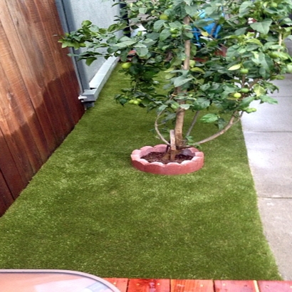 Artificial Pet Turf Damascus Maryland Installation