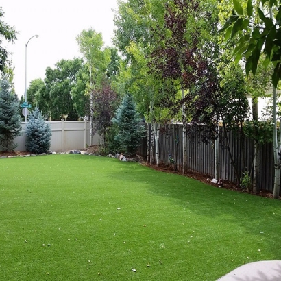 Artificial Pet Turf Galesville Maryland for Dogs Back Yard