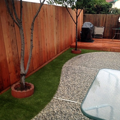Artificial Pet Turf Grasonville Maryland Installation Commercial