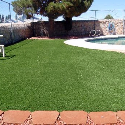 Artificial Pet Turf Kent Narrows Maryland for Dogs Front