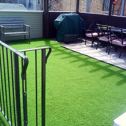 Artificial Pet Turf Milford Mill Maryland Installation