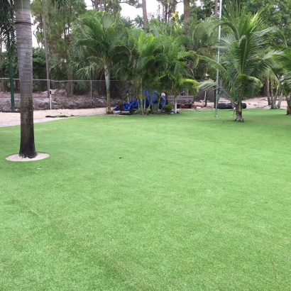 Best Artificial Grass Church Hill, Maryland Lawn And Garden, Commercial Landscape