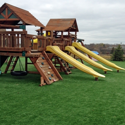 Fake Grass Arbutus Maryland Childcare Facilities Front Yard