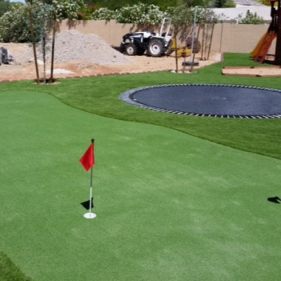 Fake Grass Carpet Marlton, Maryland Artificial Putting Greens, Backyard Landscape Ideas