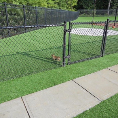 Fake Grass Hunt Valley Maryland Playgrounds Back Yard