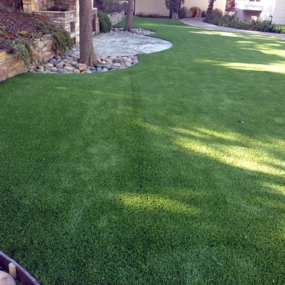 Fake Pet Grass Chester Maryland for Dogs Back Yard