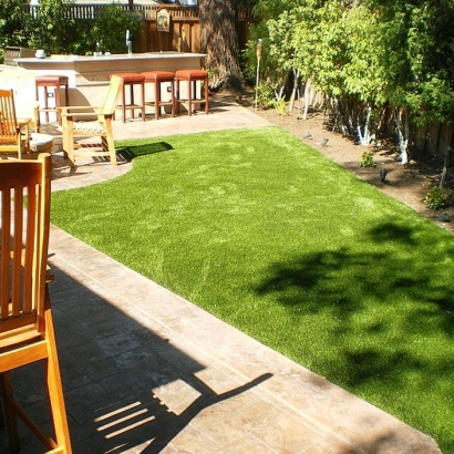Fake Pet Turf Hampton Maryland for Dogs Commercial Landscape