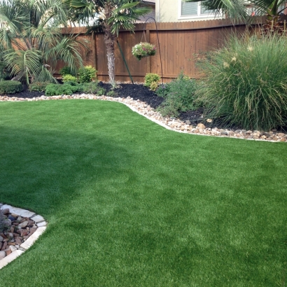Fake Pet Turf Tolchester Maryland for Dogs Back Yard