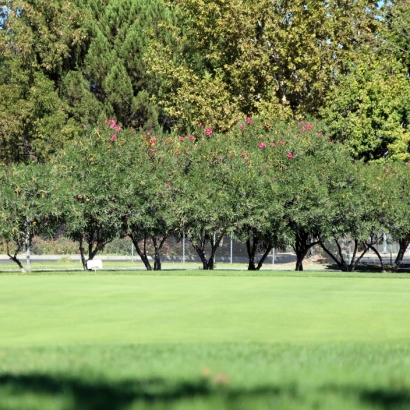 Golf Putting Greens Bowie Maryland Fake Turf Front Yard