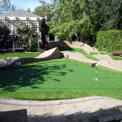 Golf Putting Greens Bowie Maryland Synthetic Turf Back Yard