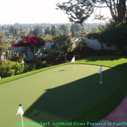 Golf Putting Greens Charlestown Maryland Synthetic Turf