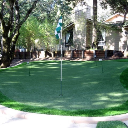 Golf Putting Greens Edgewater Maryland Artificial Grass Commercial
