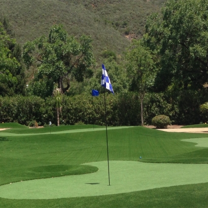 Golf Putting Greens North Bethesda Maryland Fake Grass Back