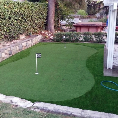 Golf Putting Greens Olney Maryland Synthetic Grass Back