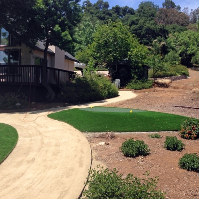 Golf Putting Greens Pylesville Maryland Fake Grass Front