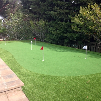 Golf Putting Greens Seabrook Maryland Fake Turf Front Yard