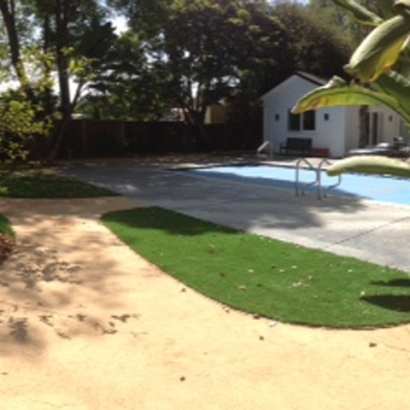 Grass Installation Camp Springs, Maryland Backyard Playground, Natural Swimming Pools