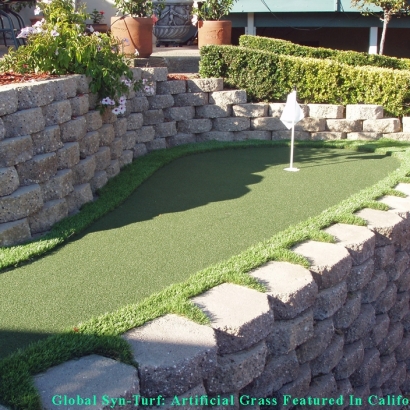 Putting Greens Baltimore Highlands Maryland Artificial Turf