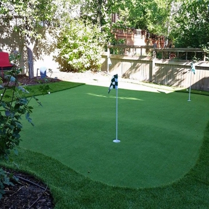 Putting Greens Brock Hall Maryland Fake Turf Back Yard