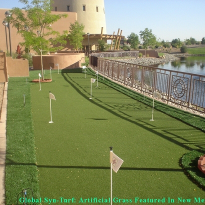 Putting Greens Lansdowne Maryland Artificial Grass